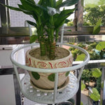 (shoot 2 To Send 3) European Balcony Railing Flower Rack Hanging Iron Guardrail Window Sill Flower Pot Rack Meat Rack Black