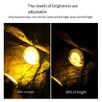 Solar Underwater Lamp Outdoor Waterproof Spotlight Courtyard Lawn Ground Lamp Garden Rockery Pool Lamp Outdoor Underwater Fish Pool Lamp